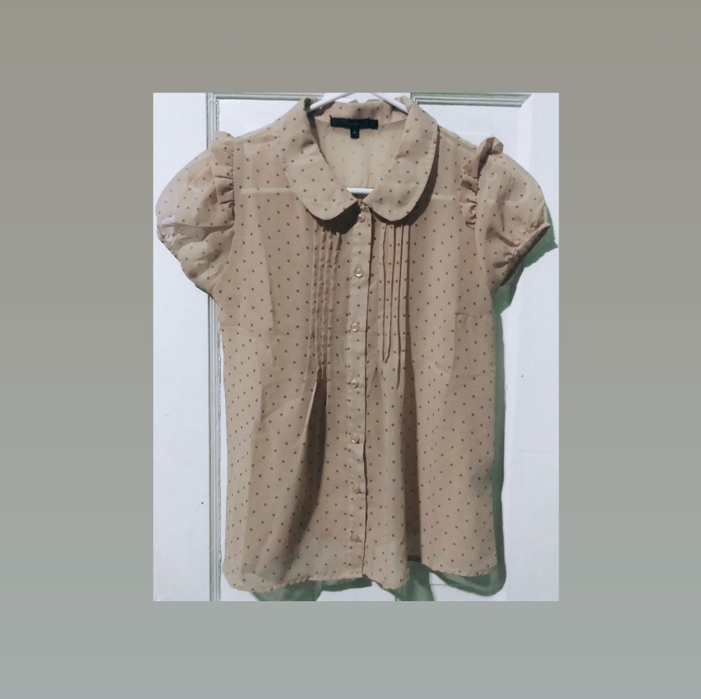 Cream Pink Beige Sheer Blouse